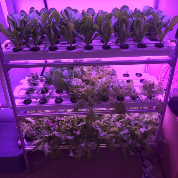 Small indoor farming