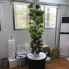 Hydroponic outdoor vertical tower system