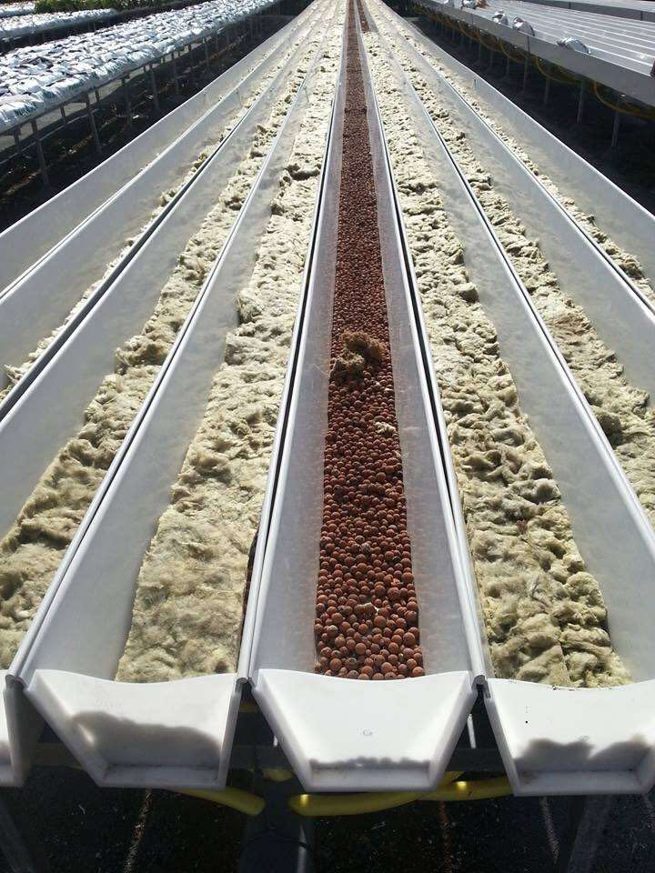 Hydroponic gutter 20cmx16cmx12cm Buy Hydroponic gutter 20cmx16cmx12cm