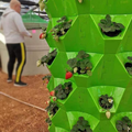 Hydroponic vertical twoer system for strawberry